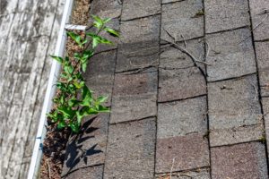 gutter maintenance